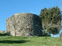 Buccheri