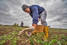 Eccellenze Siciliane al 