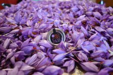 Eccellenze Siciliane al 