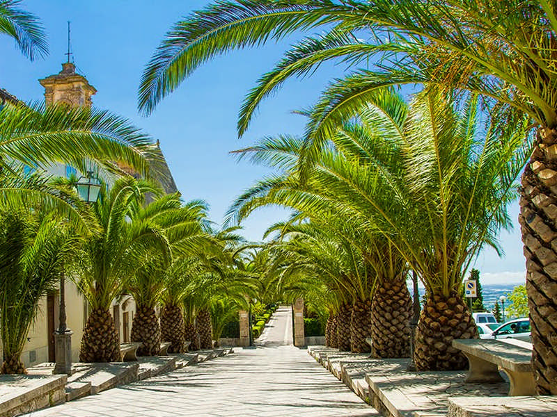 Viale d'ingresso alla Villa Comunale L'ingresso alla Villa Comunale di Chiaramonte Gulfi