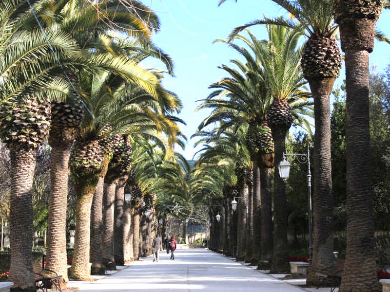 Viale d'ingresso al Giardino Ibleo Il Giardino Ibleo