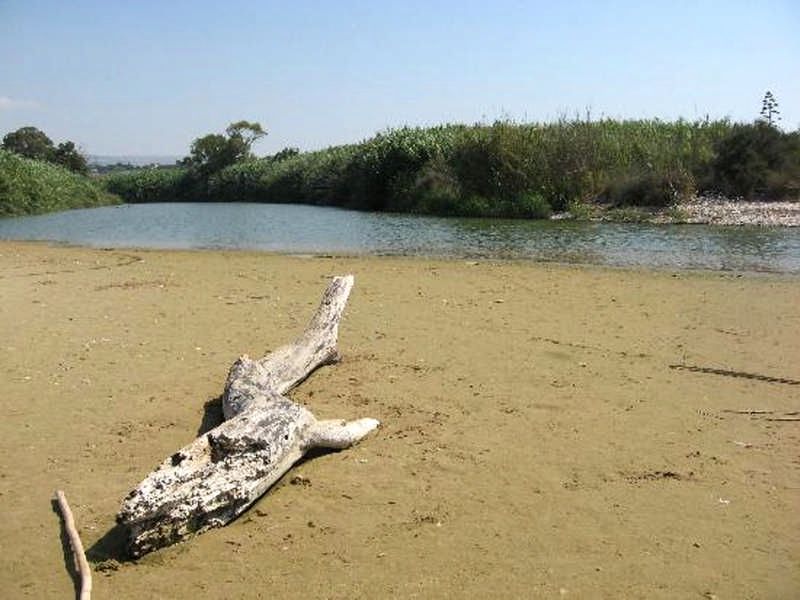 Riserva del fiume Irminio La Riserva naturale Macchia Foresta del Fiume Irminio