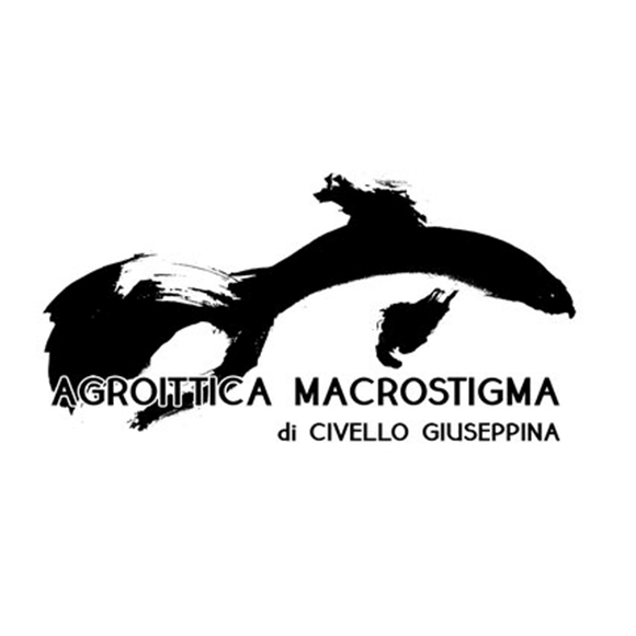 Agroittica Macrostigma